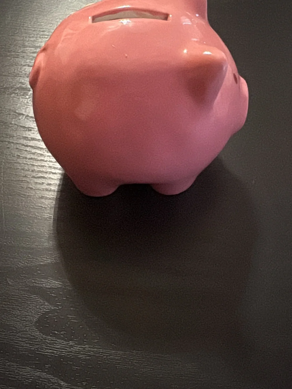 Pink Ceramic Piggy Bank “Dream Big” Butterfly Floral Hand Painted Coin Bank